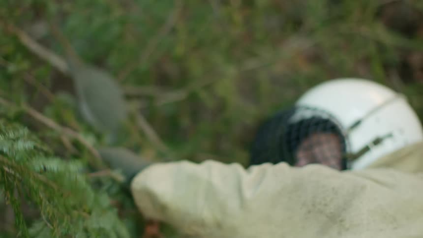 A man wearing a grill mask falling down from trees