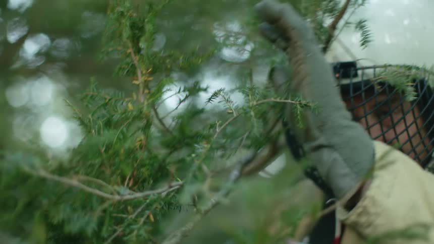 A male caucasian walking outside and pushing tree branches