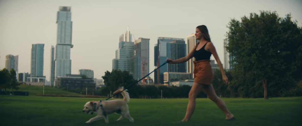 Woman with brown shorts walks a white dog on green grass in public park with tall buildings in the background