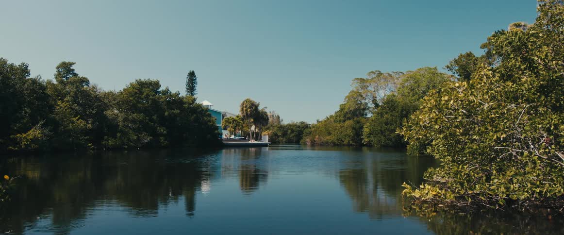 Landscape view of trees on a lake with a dock and building