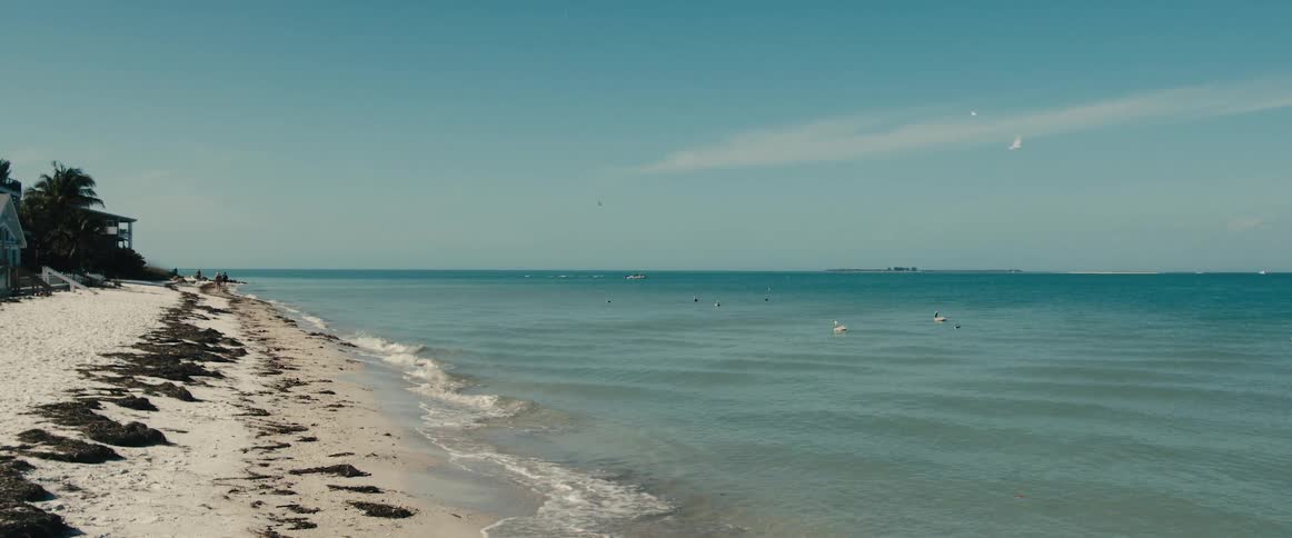 Landscape view of bird floating on the water and waves rolling on to the beach