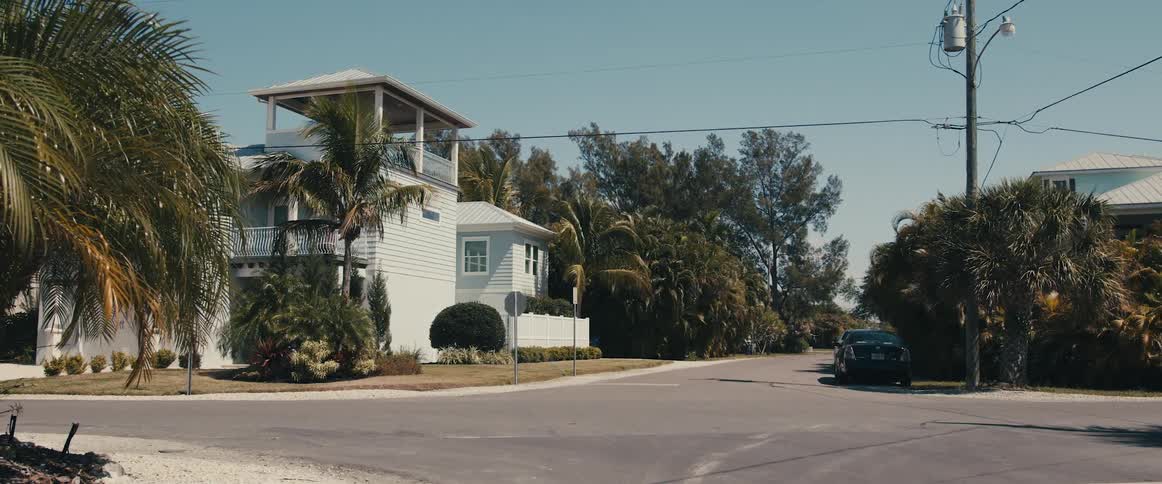Two large houses surrounded by palm trees face each other at intersection