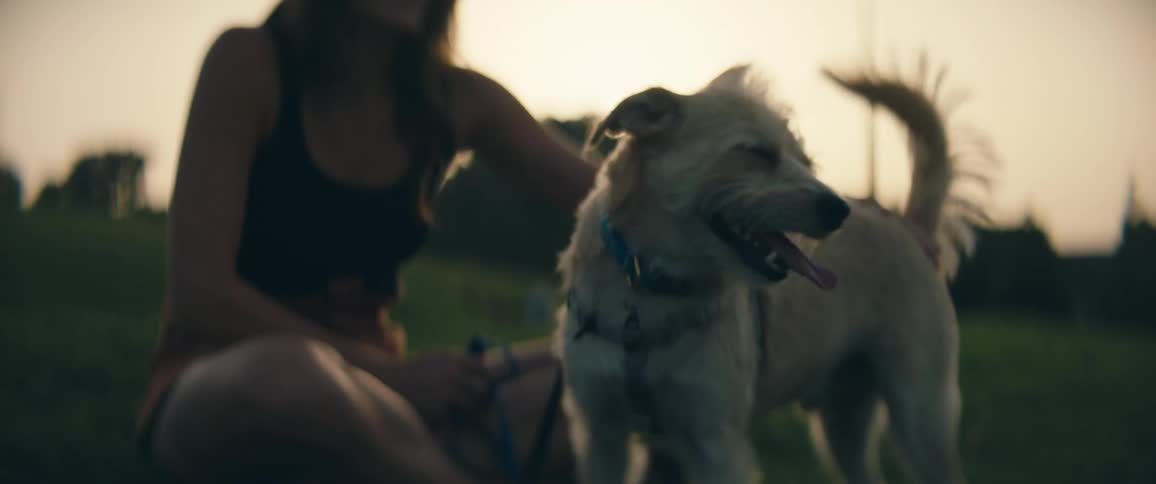Dog wags its tail as woman sitting in grass pets it