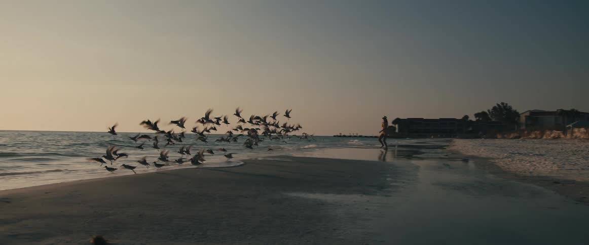 A woman in a bikini runs along a beach towards a flock of birds causing them to take flight to escape her
