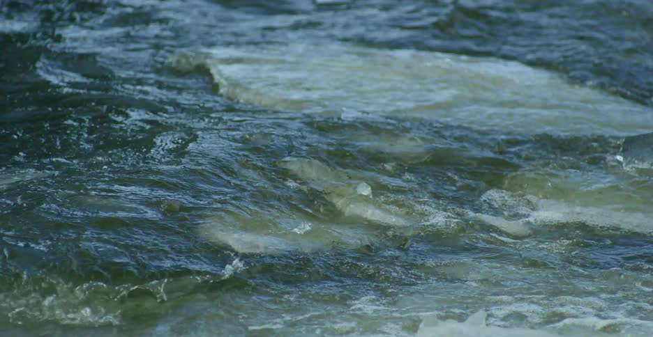 Chunks of ice floating on water with waves