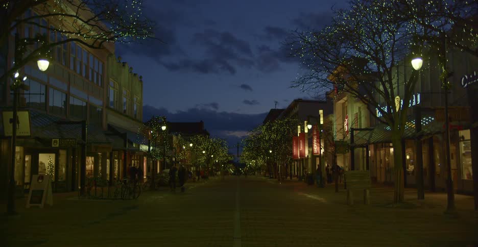 People walking on a boulevard with stores at night in a town