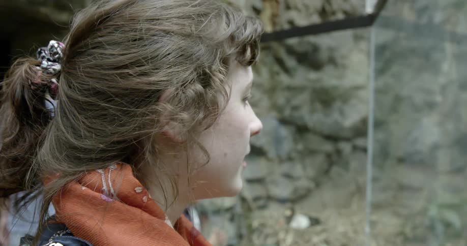 A woman with brown hair looks through a glass pane