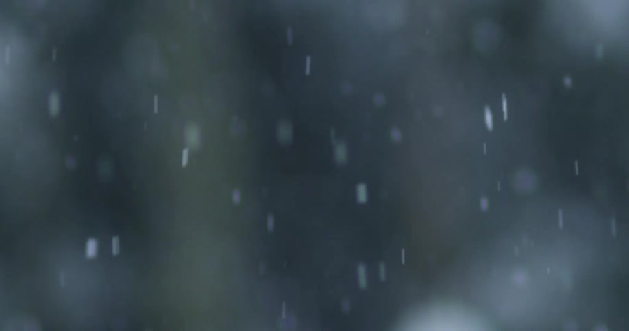Snowflakes slowly floating over a blurry background
