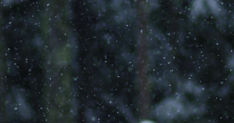 Snowflakes fall from the sky in front of out of focus trees