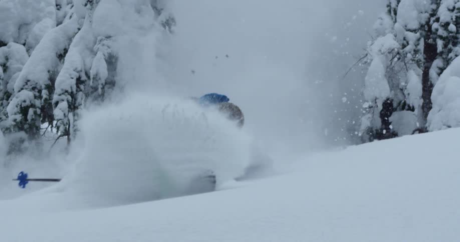 A skier bursts between trees in deep powder