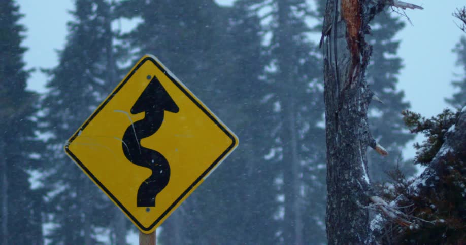 Snow falling on trees in the woods and a curvy road sign