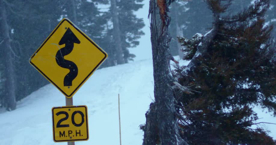 Snow falling in a forest with a sign on the roadside