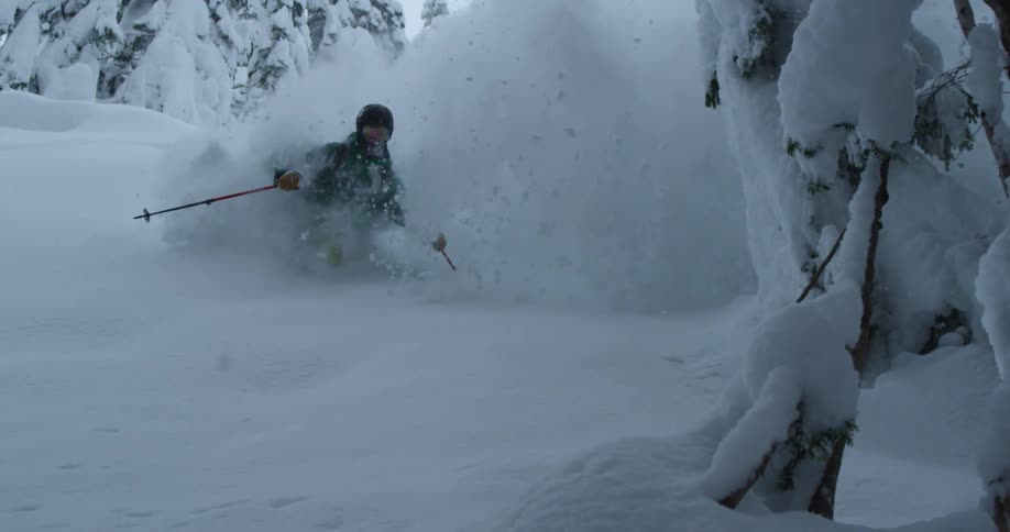 A skier has bottomless powder turns in the white forest