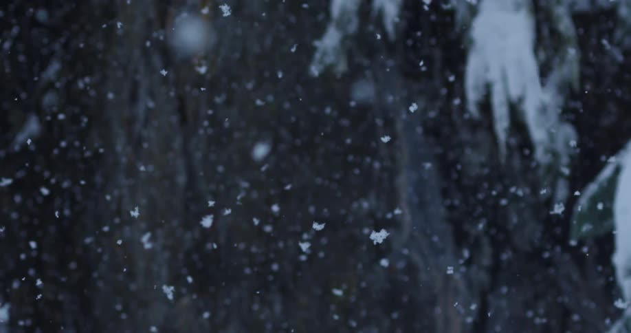 Tilt down following snowflakes falling against rock