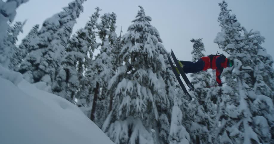 A skier does a huge flip through a forest wilderness