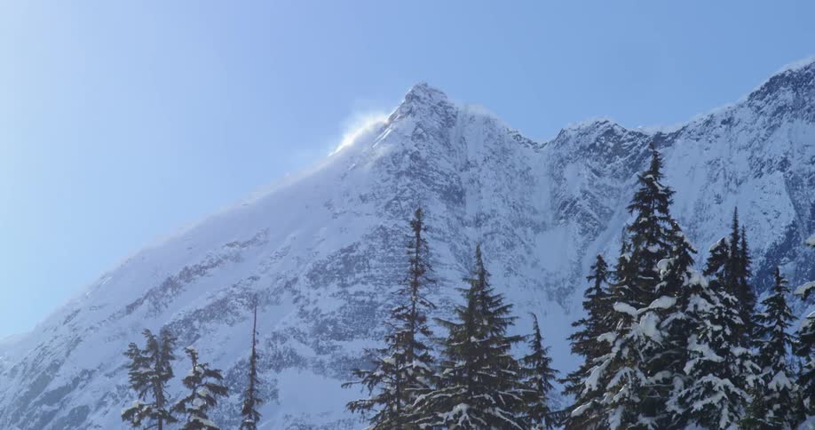 Snowy peaks tower above a forest