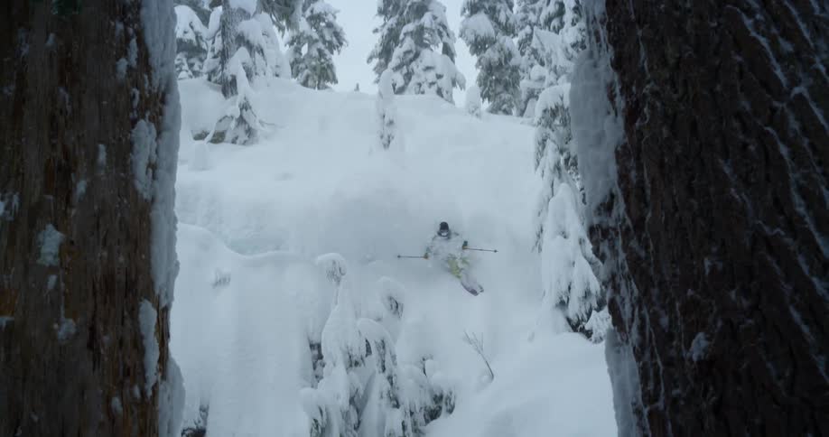 A skier framed by trees flies down a steep powder slope