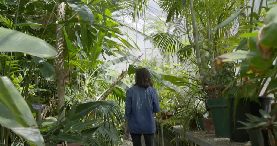 A woman walks through a greenhouse in the daytime