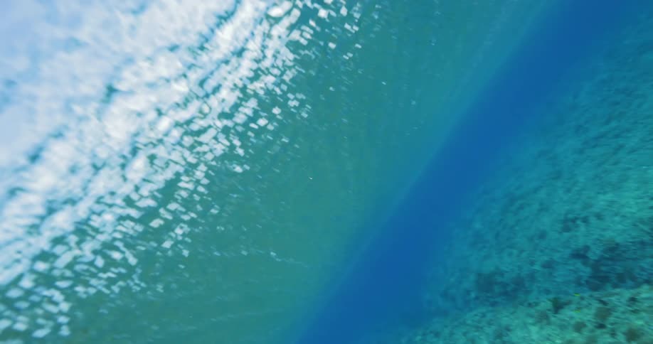 Underwater shot of an ocean and coral