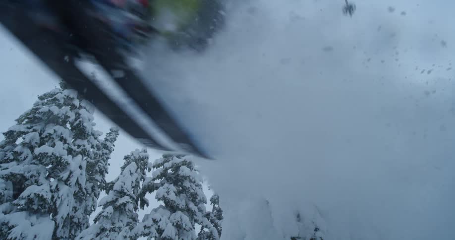 A powder skier airs through a snow covered tree