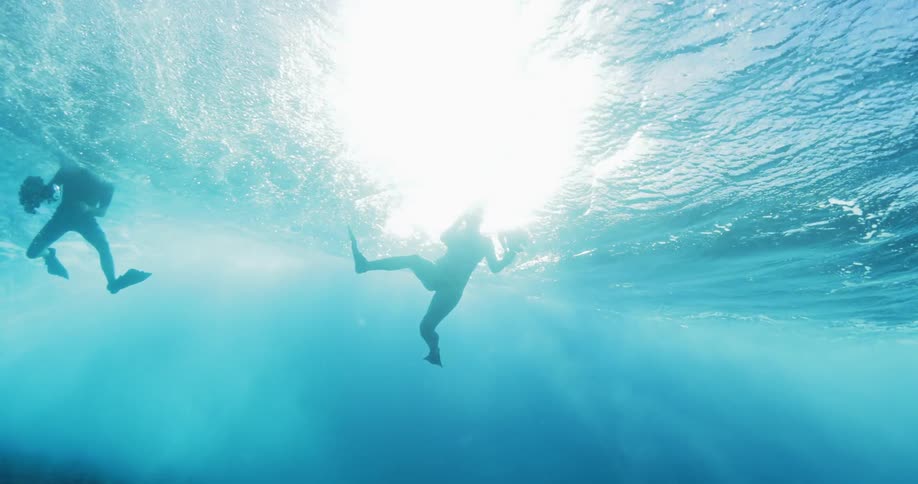 A female and male swim in the ocean while holding underwater cameras