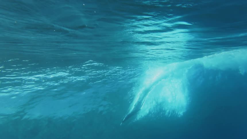 A body boarder rides a wave overhead