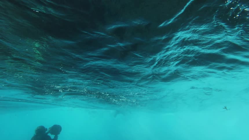 A single diver is swimming up towards the surface of the ocean