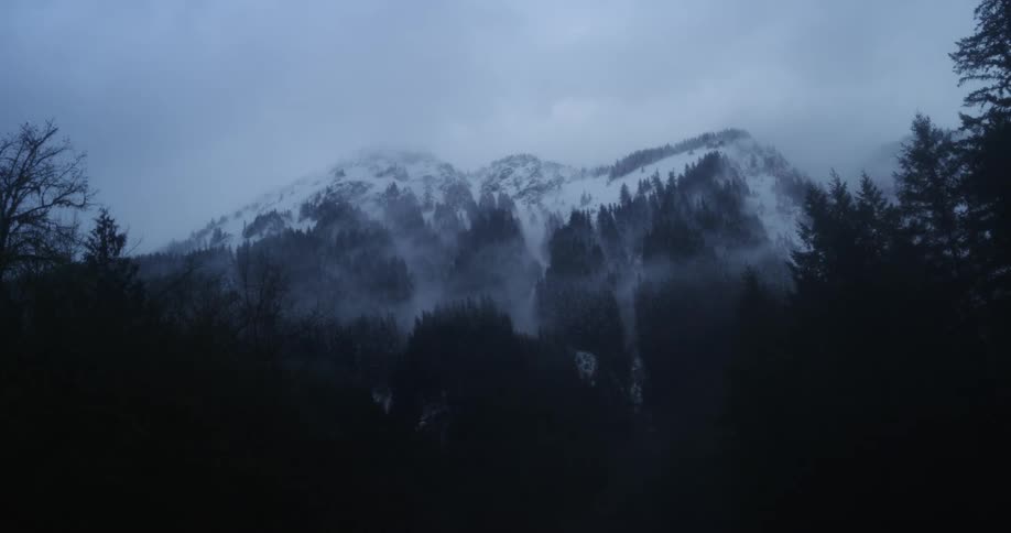 A view of a snowy mountain surrounded by a forest