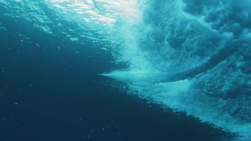 Underwater shot of a surfer surfing a wave overhead