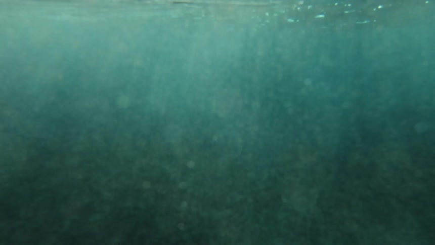 Bubbles just below the surface of the ocean water on a brilliant sunny day