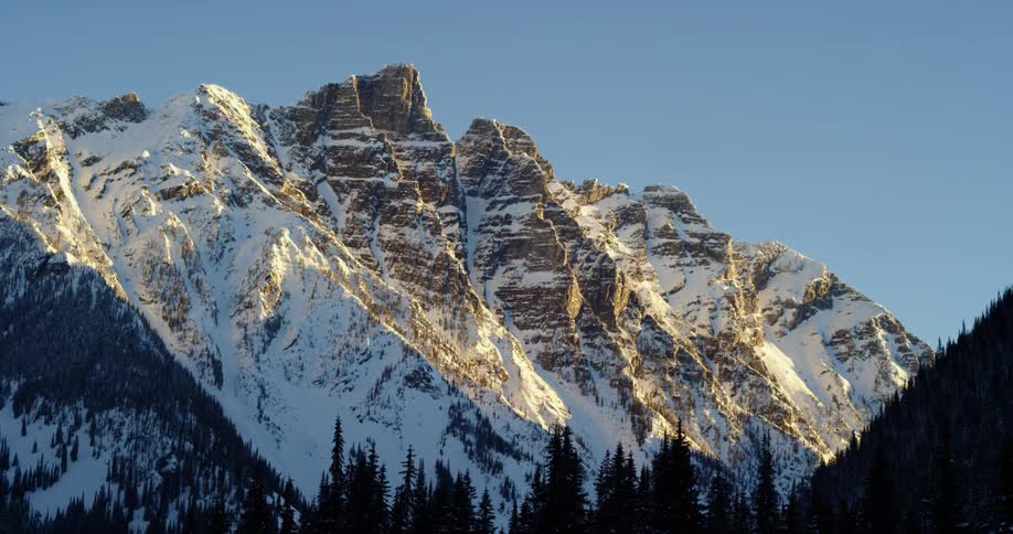 Landscape view of a forest and mountain range