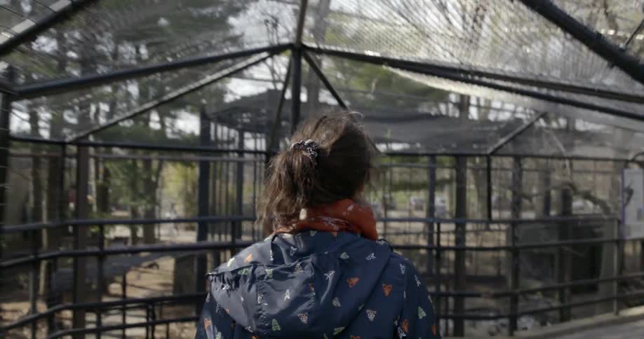 A woman in a jacket walks under a fenced walkway
