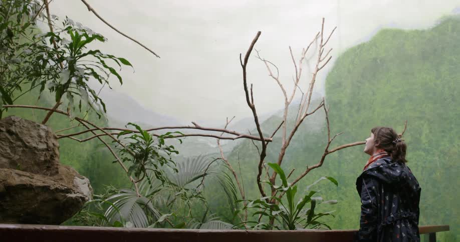 A woman in a red scarf looks out at some foliage