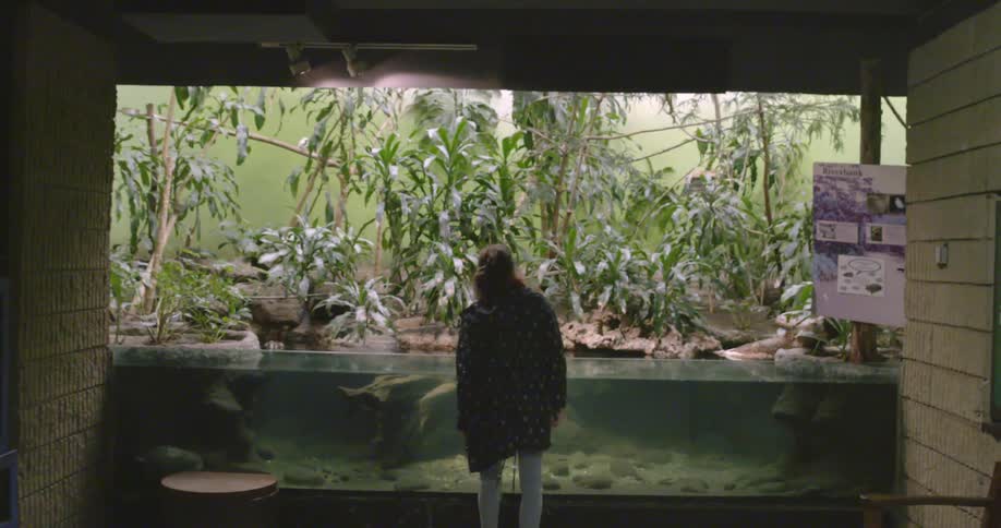 A woman walks over to an exhibit in an aquarium
