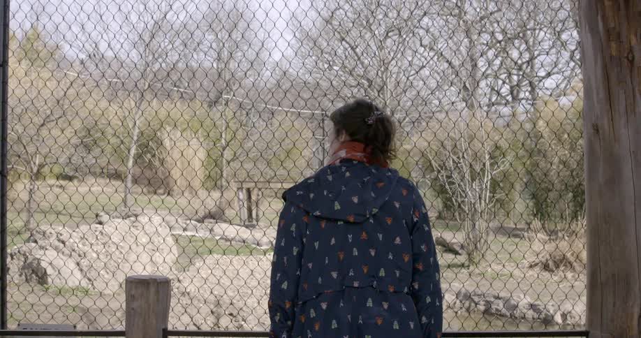 A woman stands in front of an outdoor animal enclosure at the zoo