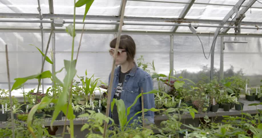 A woman is walking in a garden examining the plants