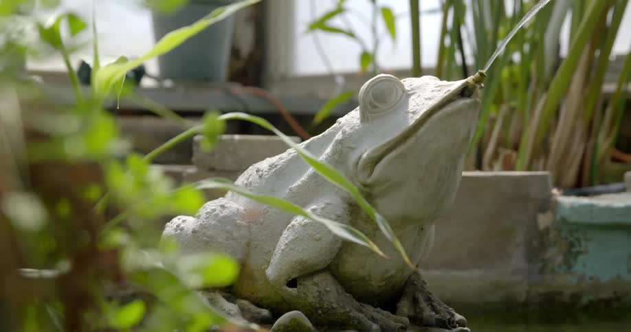A stone frog spits water into the air
