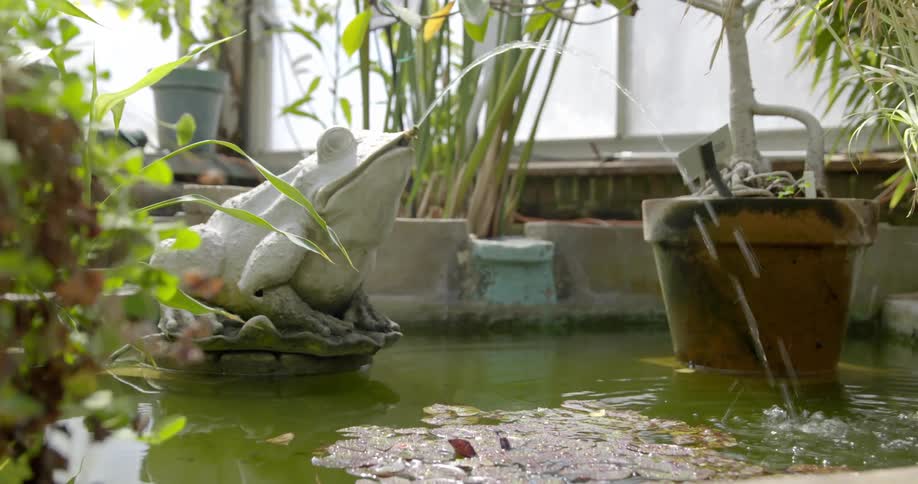 Water flows from the mouth of a frog statue in an indoor pond