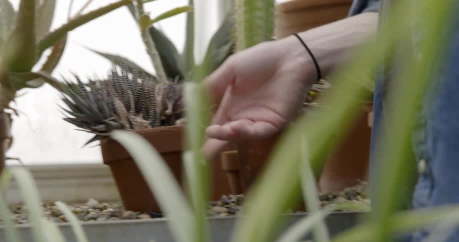 A hand places pot and moves some others around