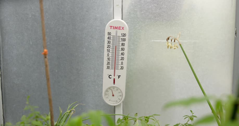 A thermometer in a greenhouse