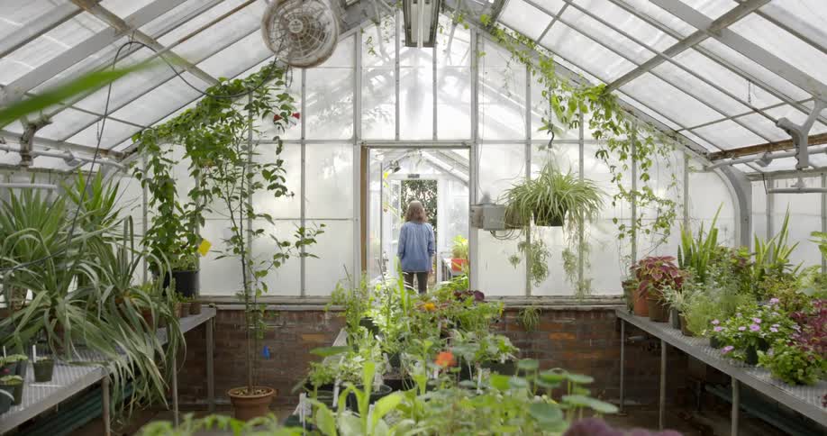 A woman walks through the doorway of a greenhouse