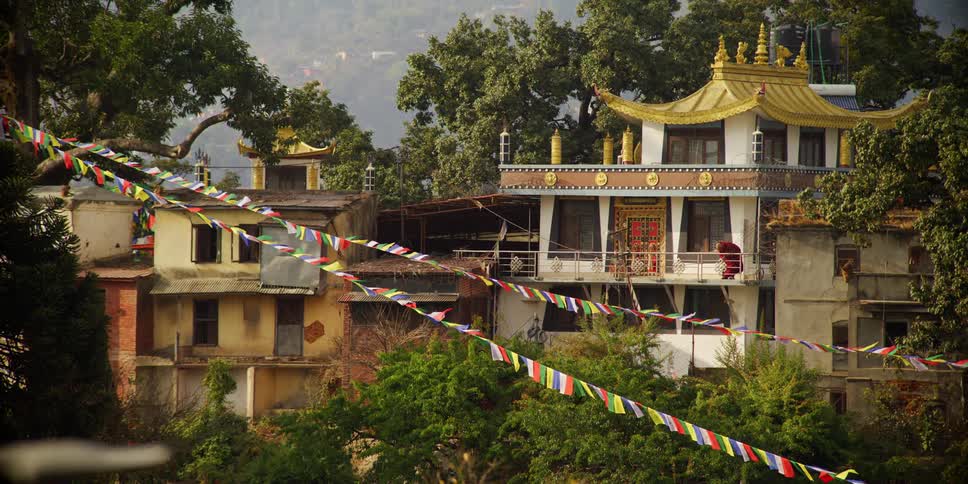 A monkey climbs up the side of a temple in a city