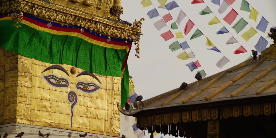 Birds rest atop a pair of buildings covered in artwork and decorations