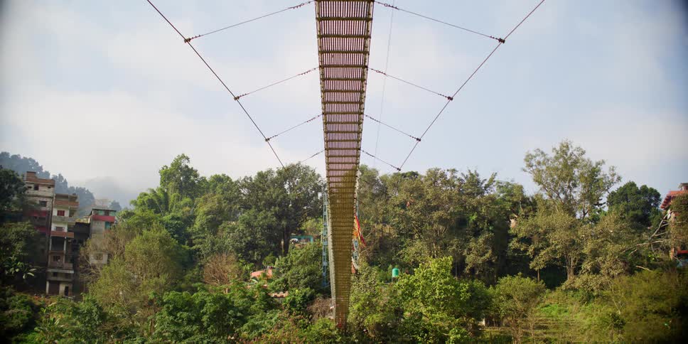 A bridge in a forest area with a few buildings in the background