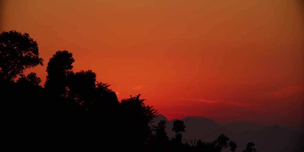 A silhouette of trees with the sky clouds and sunlight in the background
