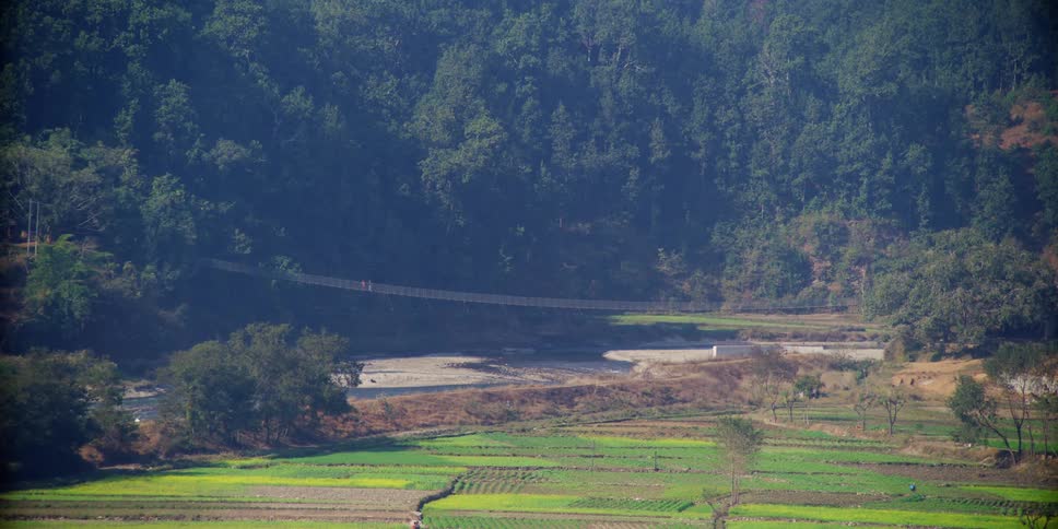 A farm field is surrounded by a forest covered mountain