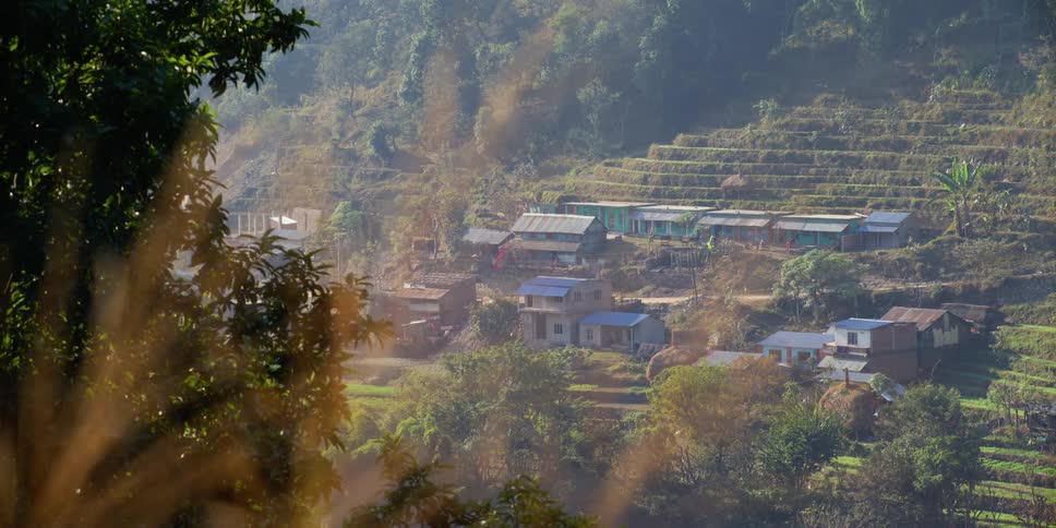 A small village with houses surrounded by plants and trees with a person walking on the road