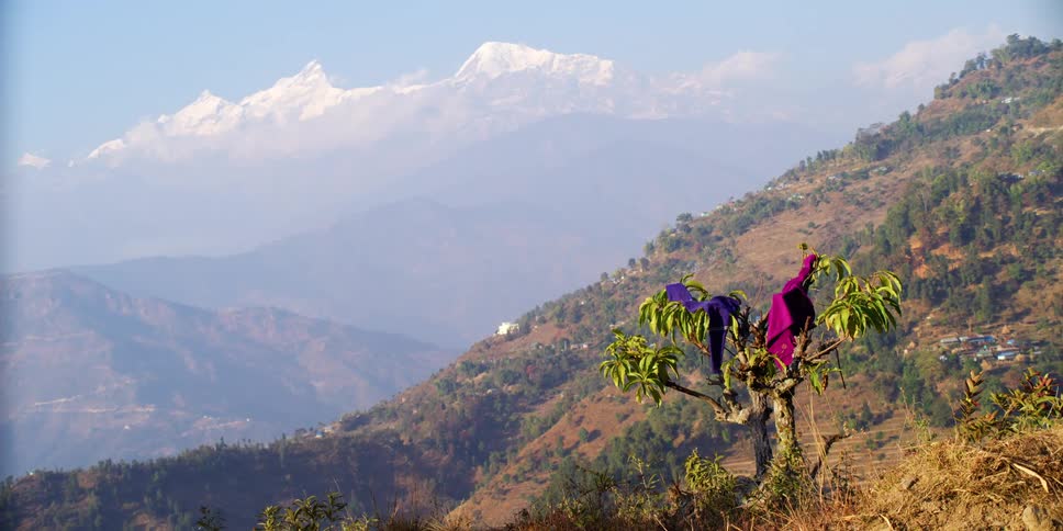 Clothing dries on a tropical tree on the side of a hill near a mountain range