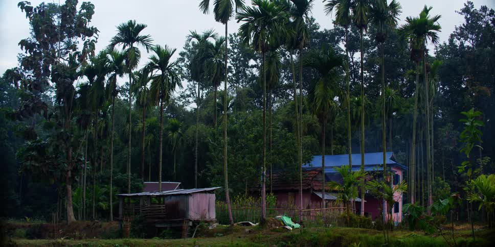 Small rural buildings on a farm in a tropical forest