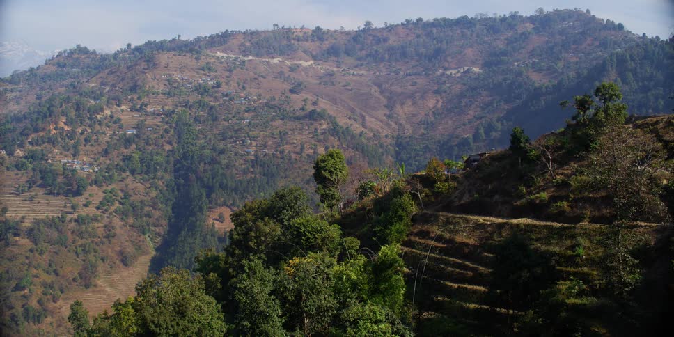 Mountains and hills with trees and vegetation near the blue sky